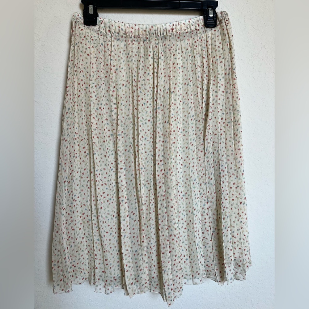 Beautiful Pleated Skirt